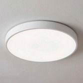 Oakleigh Home Kenyir 30cm Acrylic LED Oyster Light