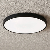 Oakleigh Home Kenyir 40cm Acrylic LED Oyster Light