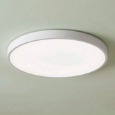 Oakleigh Home Kenyir 40cm Acrylic LED Oyster Light