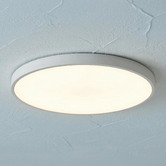 Oakleigh Home Wexler White Round LED Oyster Light