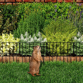 Oakleigh Home Liel Decorative Garden Barrier Gate