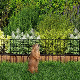 Oakleigh Home Renzo Decorative Garden Fence