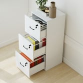 Oakleigh Home Mason Filing Cabinet