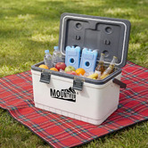 Oakleigh Home 22L Aria Cooler Box