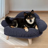 Oakleigh Home Cooper Machine Washable Pet Sofa