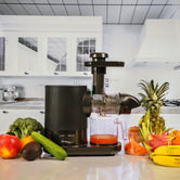 Grafton Home Goods 500ml Maxi Cold Press Juicer