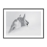 Le Concept Art Horse Framed Print