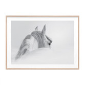 Le Concept Art Horse Framed Print