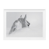 Le Concept Art Horse Framed Print