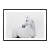Le Concept Art Horse Lover Framed Print