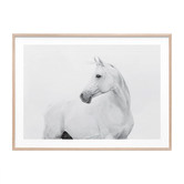 Le Concept Art Horse Lover Framed Print