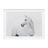 Le Concept Art Horse Lover Framed Print