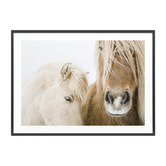 Le Concept Art Wild Ponies Framed Print