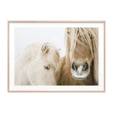 Le Concept Art Wild Ponies Framed Print