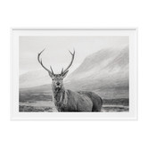 Le Concept Art Wild Stag Framed Print