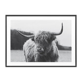 Le Concept Art Highland Cow Framed Print