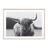 Le Concept Art Highland Cow Framed Print