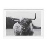 Le Concept Art Highland Cow Framed Print