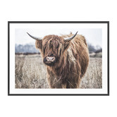 Le Concept Art Scottish Cow Framed Print
