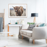 Le Concept Art Scottish Cow Framed Print