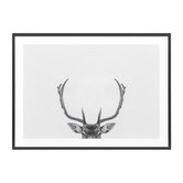 Le Concept Art Deer Antlers Framed Print