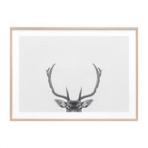 Le Concept Art Deer Antlers Framed Print