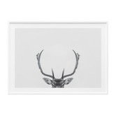 Le Concept Art Deer Antlers Framed Print