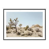Le Concept Art Mojave Desert Framed Print
