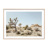 Le Concept Art Mojave Desert Framed Print