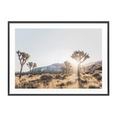 Le Concept Art Joshua Tree II Framed Print