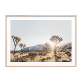 Le Concept Art Joshua Tree II Framed Print