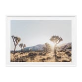 Le Concept Art Joshua Tree II Framed Print