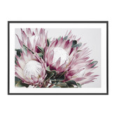 Le Concept Art Protea Cluster Framed Print