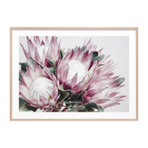 Le Concept Art Protea Cluster Framed Print