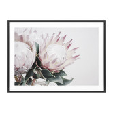 Le Concept Art Protea Bouquet Framed Print