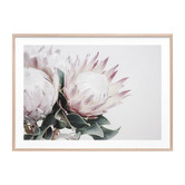 Le Concept Art Protea Bouquet Framed Print