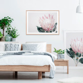Le Concept Art King Protea II Framed Print