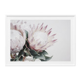 Le Concept Art Protea Bouquet Framed Print