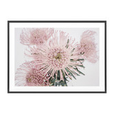 Le Concept Art Pincushion Framed Print