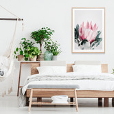 Le Concept Art Blush Protea Framed Print