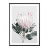 Le Concept Art Protea Framed Print