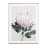 Le Concept Art Protea Framed Print