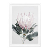 Le Concept Art Protea Framed Print