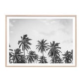 Le Concept Art Hawaii Palms Framed Print