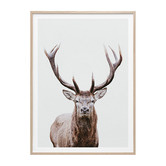 Le Concept Art Deer Portrait Framed Print