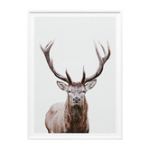 Le Concept Art Deer Portrait Framed Print