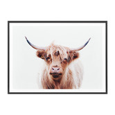 Le Concept Art Duncan Highland Cow Framed Print