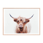 Le Concept Art Duncan Highland Cow Framed Print