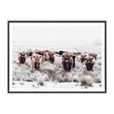 Le Concept Art Highland Tribe Framed Print