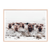 Le Concept Art Highland Tribe Framed Print
